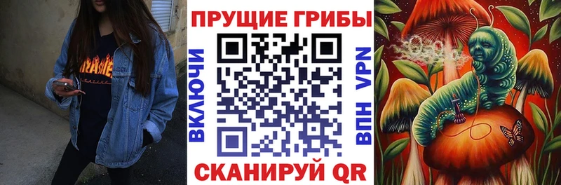 Галлюциногенные грибы Psilocybe Дальнегорск