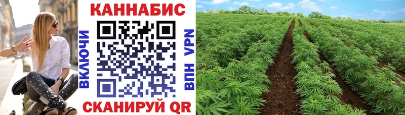 Канабис White Widow  Купить  Дальнегорск 